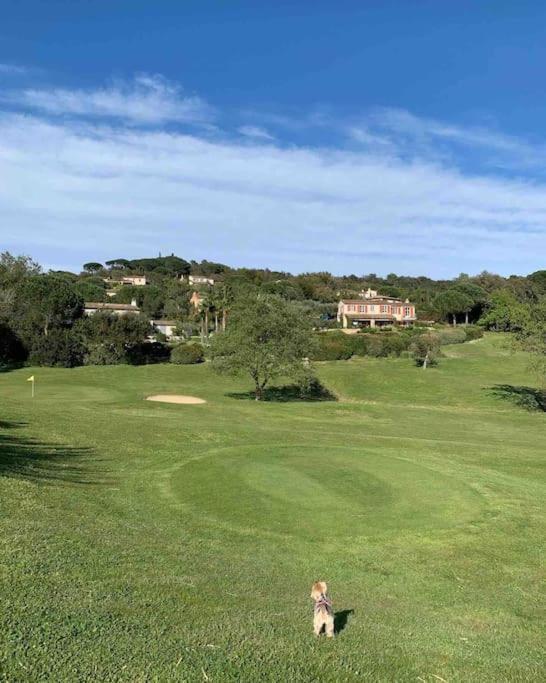 Maison Classee Sur Le Golfe De St Tropez Saint-Tropez Exterior foto